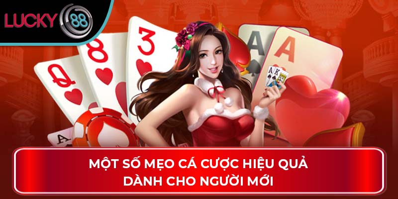Một số mẹo cá cược hiệu quả dành cho người mới